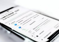 苹果iOS设备如何彻底关闭视频广告？系统设置里找不到入口怎么办？