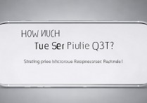 真我Q3T价格多少？起售价和处理器配置详解