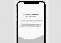 苹果7为什么不显示电量不足怎么办