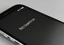 苹果手机显示无服务