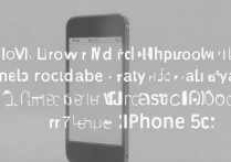 苹果 5c 怎么下载输入法？iPhone 5c 如何安装第三方中文输入法？