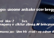 oppo手机点两下屏幕变大怎么办，如何关闭双击放大功能