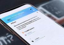 Xiaomi 12 Pro录屏没声音？方法不对教你解决！