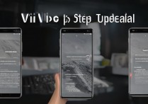 vivo手机刷机教程详细步骤是怎样的？