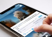 苹果手机截屏后怎么剪图？新手操作步骤详解