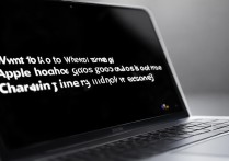 苹果突然黑屏显示充电没反应怎么办啊？