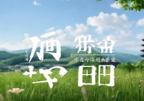 小米主题壁纸下载
