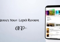 oppo主题怎么用？新手必看主题设置与个性化教程