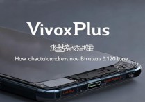 vivox20plus新电池怎么充电，新手机首次充电正确方法