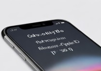 苹果11apple id忘了怎么办