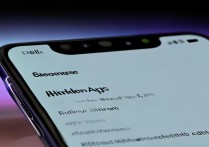 Xiaomi 12S隐藏应用在哪设置？详细步骤是什么？