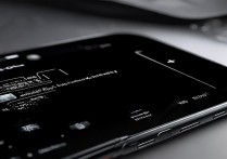 vivo手机nfc功能怎么打开？详细步骤是什么？