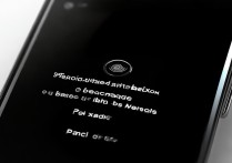 vivo手机黑屏指纹解锁怎么设置
