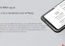 Vivo X5插电信卡没网怎么办？设置方法详解！