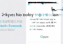 oppo 摄像机权限怎么开？oppo 手机摄像头权限设置方法