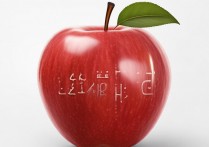 苹果怎么换成我的ID？苹果手机如何更换Apple ID账号