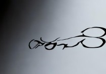 OPPO的词语怎么写？OPPO的正确写法是什么？