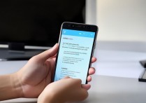 vivo手机如何开启并使用MHL功能连接电视？