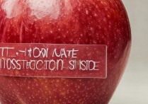 苹果怎么看激活没有了？苹果手机激活状态查询方法