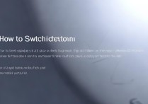 vivo怎么切换系统