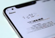 华为 掉线怎么回事啊