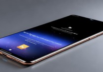 Xiaomi 11 Pro屏幕尺寸多大？日常使用体验如何？