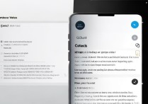 vivo手机联系人误拉黑了，怎么从黑名单里快速撤销？