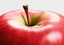 苹果搜索建议怎么弄掉