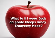 苹果一直进入恢复模式怎么办啊