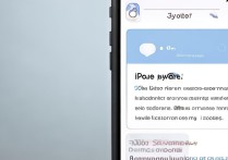 手机苹果itunes怎么用啊