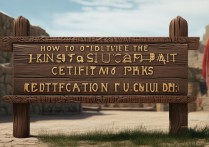 王者营地怎么获得认证标识？认证方法有哪些？