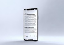 oppo唱鸭录屏没声音？教你开启麦克风权限轻松解决