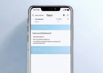 vivo手机怎么查看密码是什么，vivo手机忘记密码怎么找回