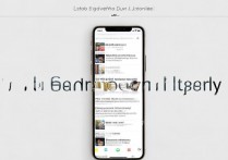 苹果手机怎么实现双屏显示？分屏操作教程详解