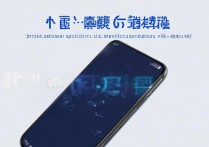 vivo S12 屏幕多大？vivo S12 屏幕尺寸材质分辨率是多少？
