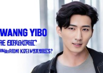 Redmi K70系列代言人是王一博吗