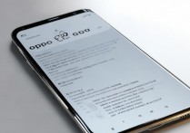 oppo手机精灵怎么弄？详细设置步骤与功能开启教程