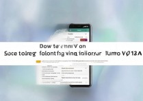 vivoy71a怎么刷机，vivoy71a刷机教程详细步骤