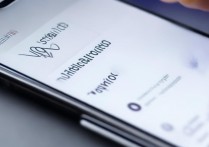 vivo圆圈怎么设置，vivo手机悬浮球怎么打开