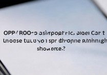 oppok9pro支持nfc吗？能用手机刷地铁吗？
