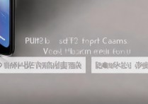 vivoX70t 多少钱？vivoX70t 起售价和版本配置详解