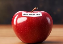 苹果密码声音小怎么办