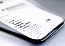 vivo手机如何安全安装第三方插件？