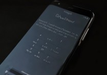 oppo屏幕锁忘记密码，不恢复数据怎么解锁？