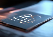 设置指纹vivo