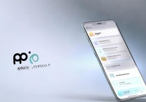 oppo 手机助手是什么？
