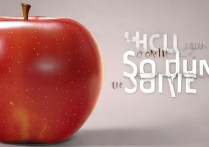 苹果照片声音怎么开启？苹果手机照片声音在哪里设置