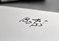 bs 三星是什么意思？