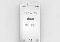 苹果5白苹果了怎么删除插件？白苹果无法开机怎么解决