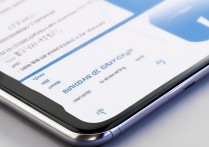 vivo手机快充没反应？开启步骤和注意事项是什么？